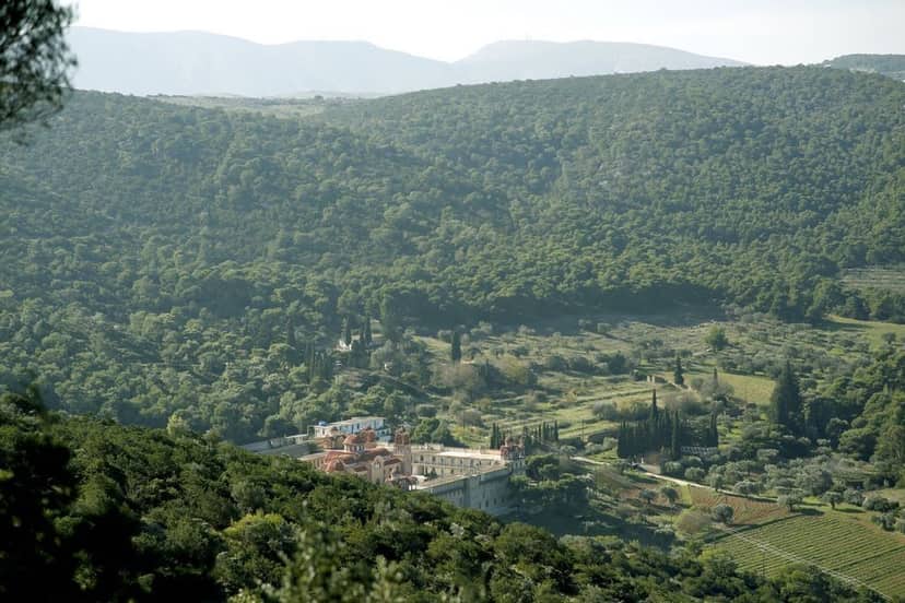 The Saronic land: generously satisfying all senses!