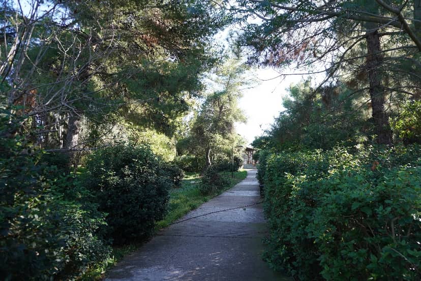 Attican Grove (Attiko Alsos)