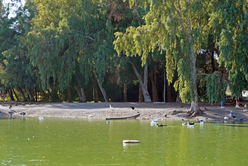 Antonis Tritsis Metropolitan Park