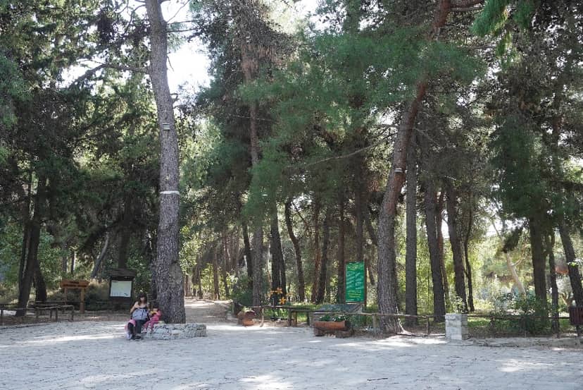 Diomedes Botanical Garden