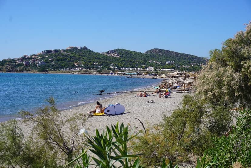 Alykes of Anavyssos (Salt Marshes)