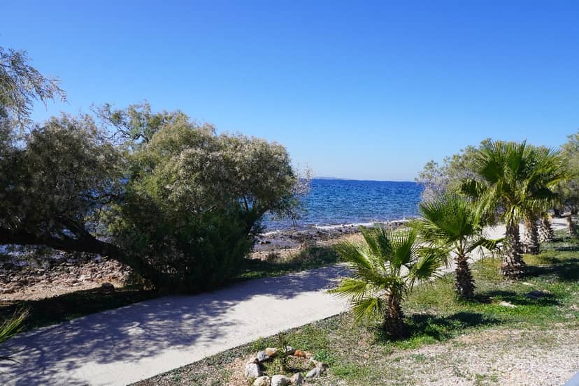 Saronida