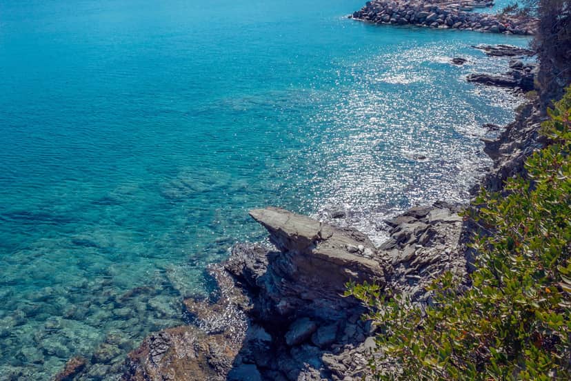 Limnionas