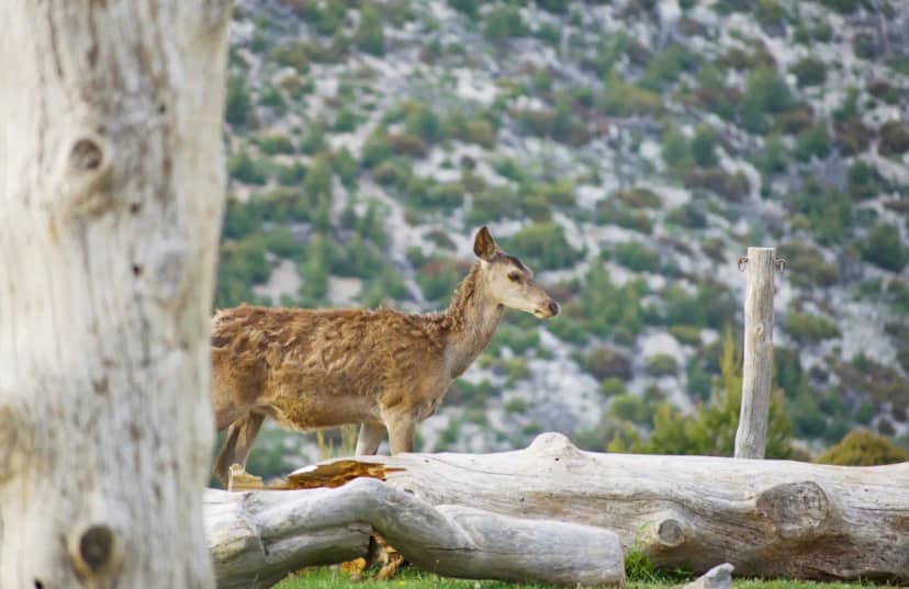 Wildschutzgebiete