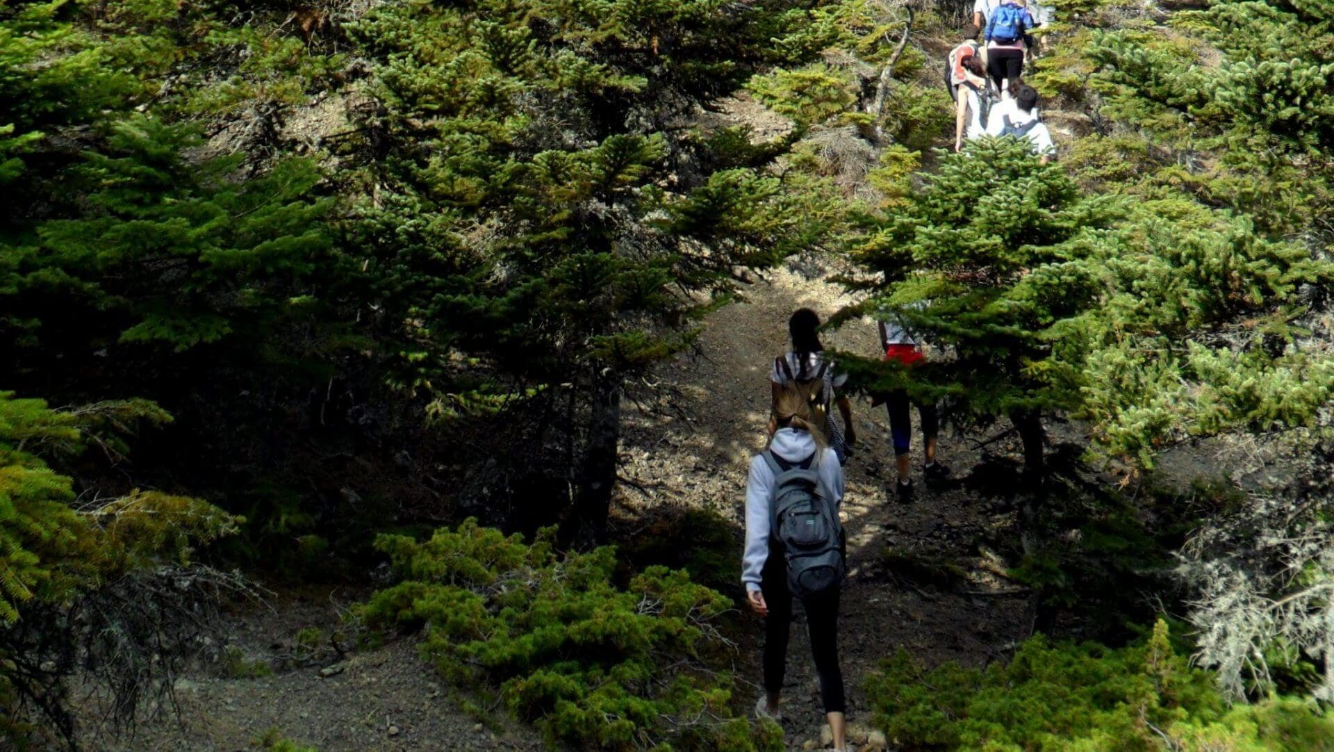 Fascinating routes in Attica's mountains