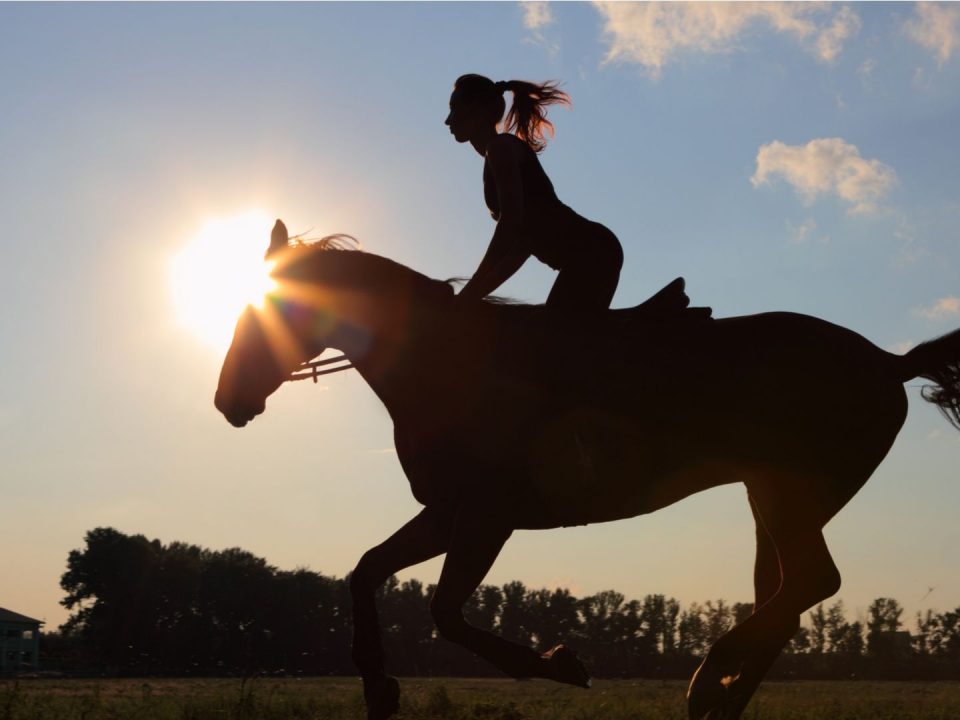 horse riding Athens sunset