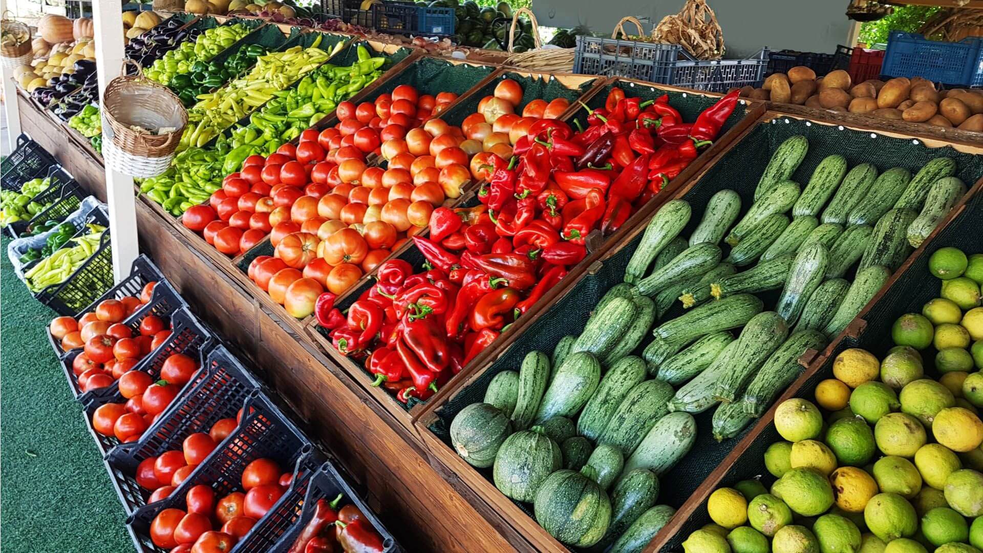 Athens-Food-Tour