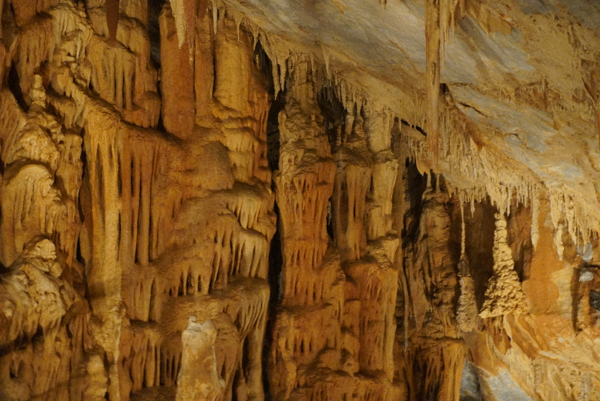 tourism category image