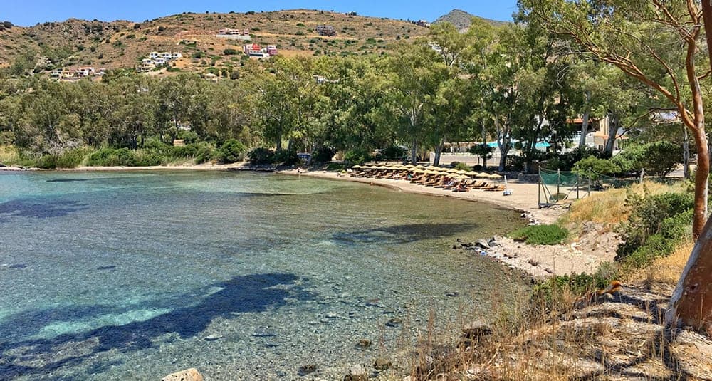 aeginitissa-beach-aegina
