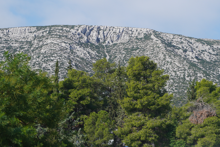 tourism category image