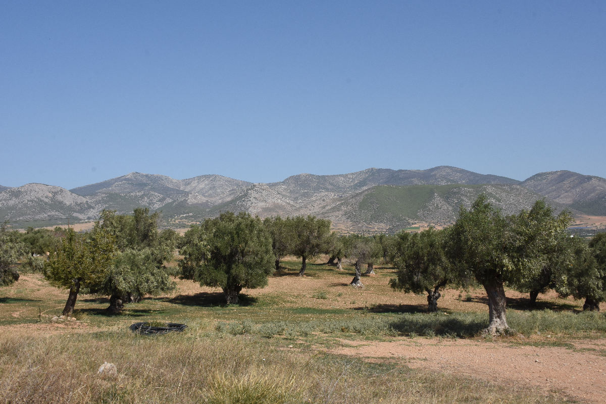 Αρχαίο Φρούριο Αιγοσθένων