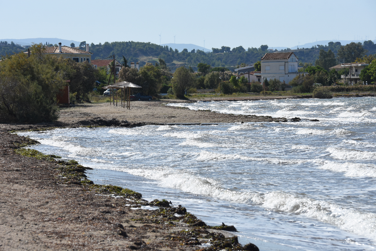 Wildlife Refuge of Avlona Voutima