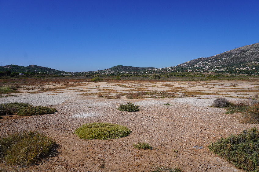 tourism category image