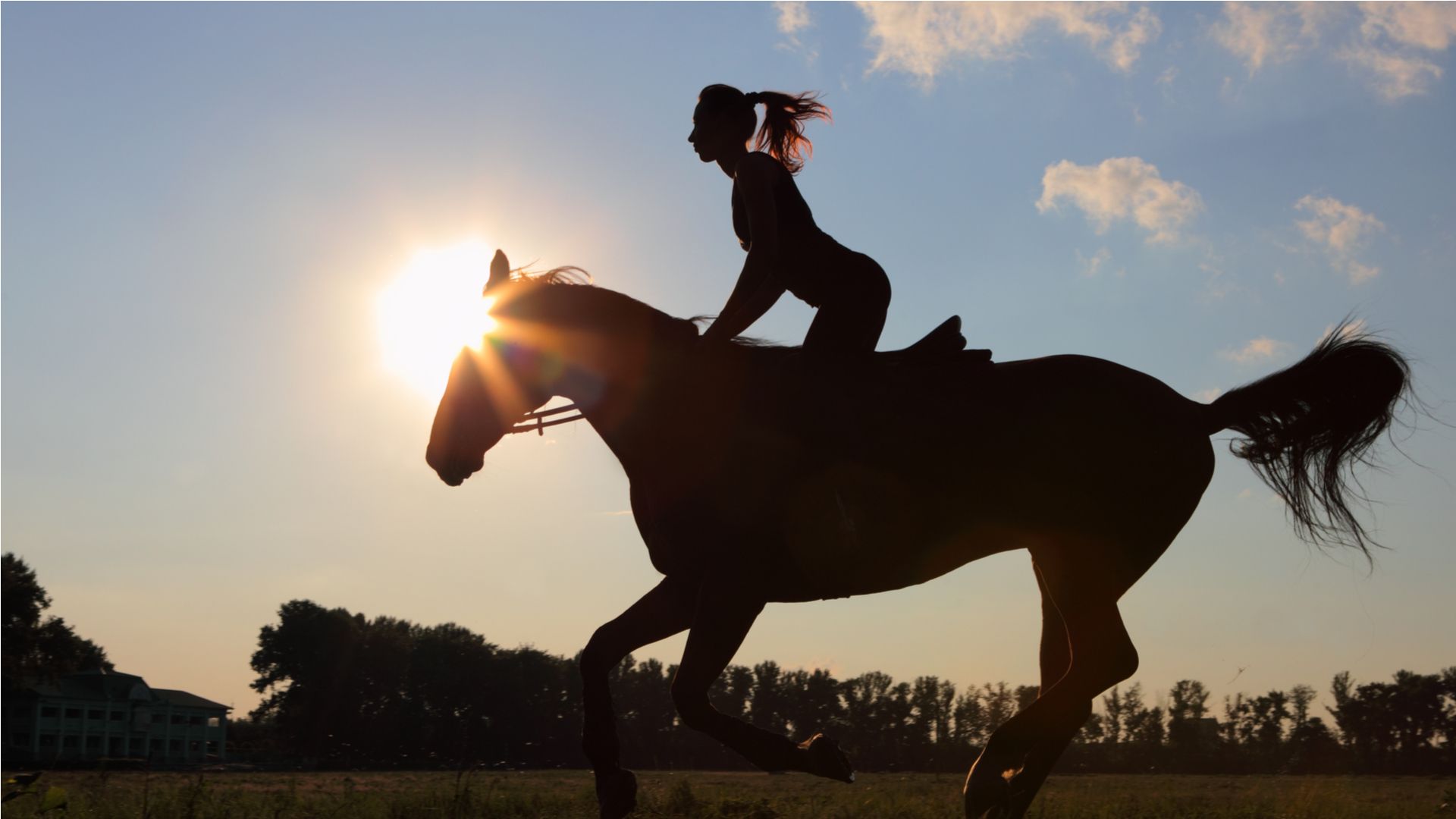 Horse-Riding