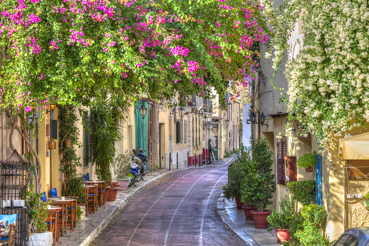 Plaka area