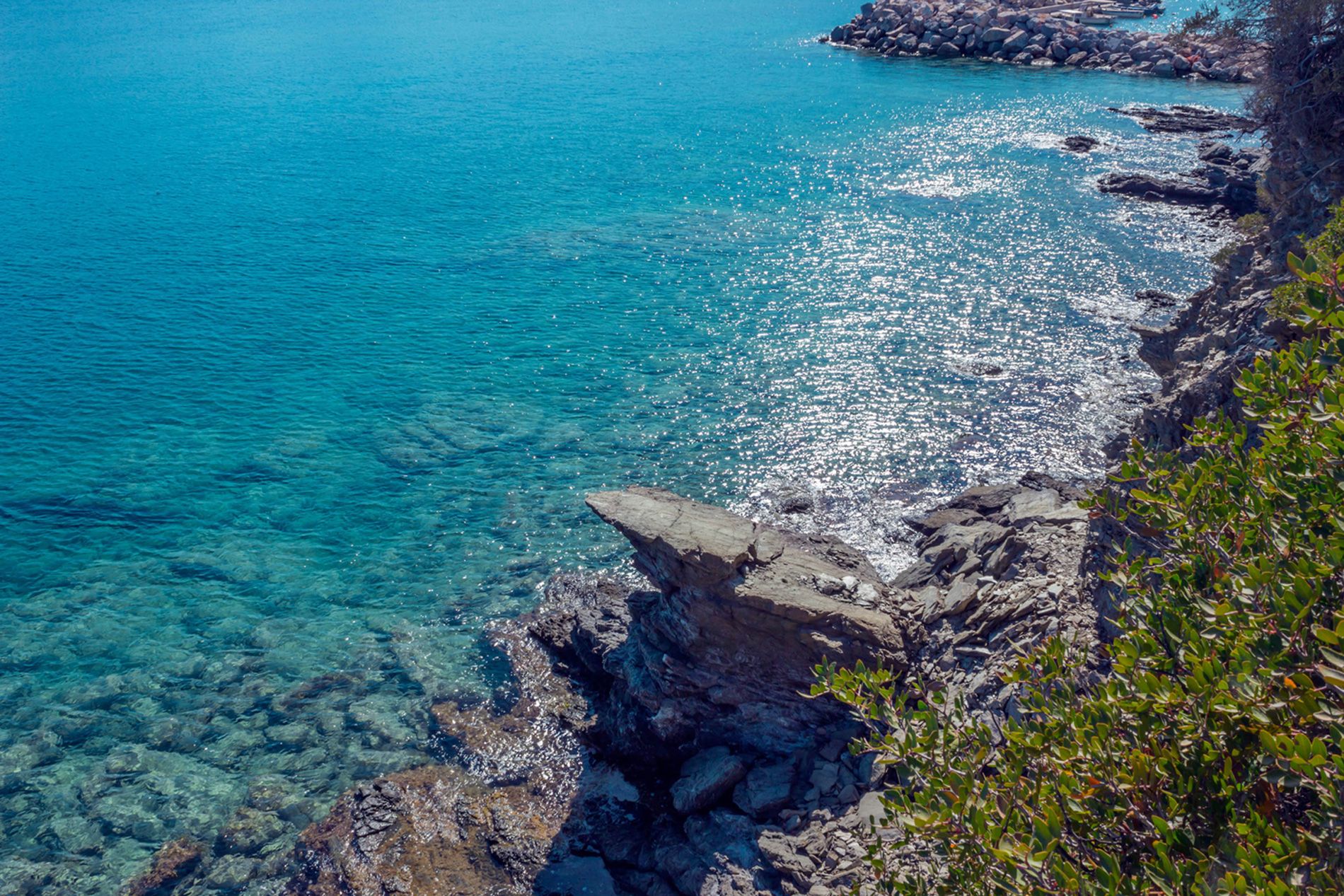 limnionas-461865985