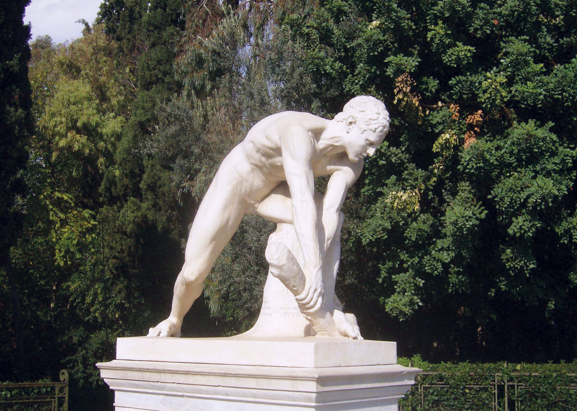woodbreaker_philippotis