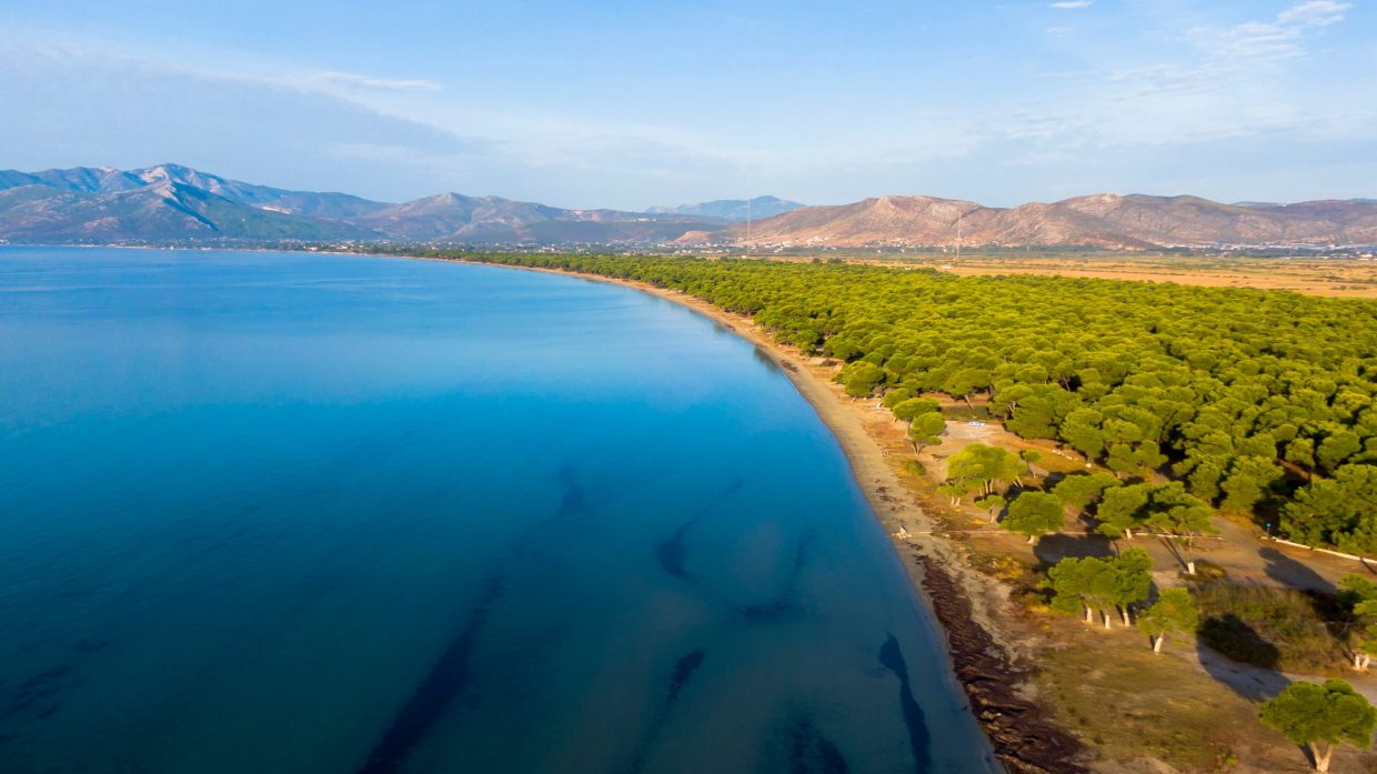 tourism category image