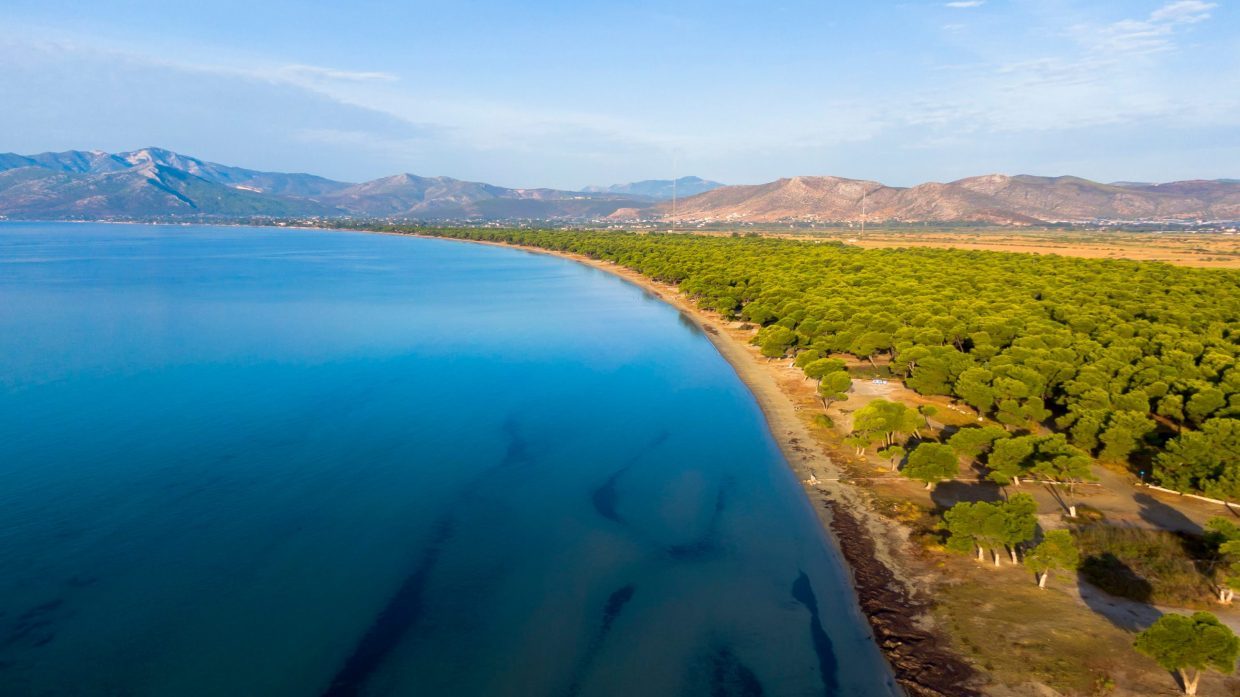 tourism category image