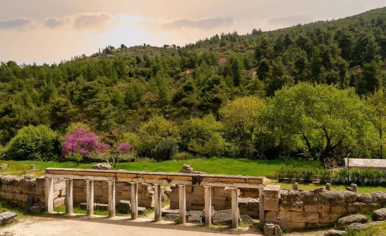 tourism category image