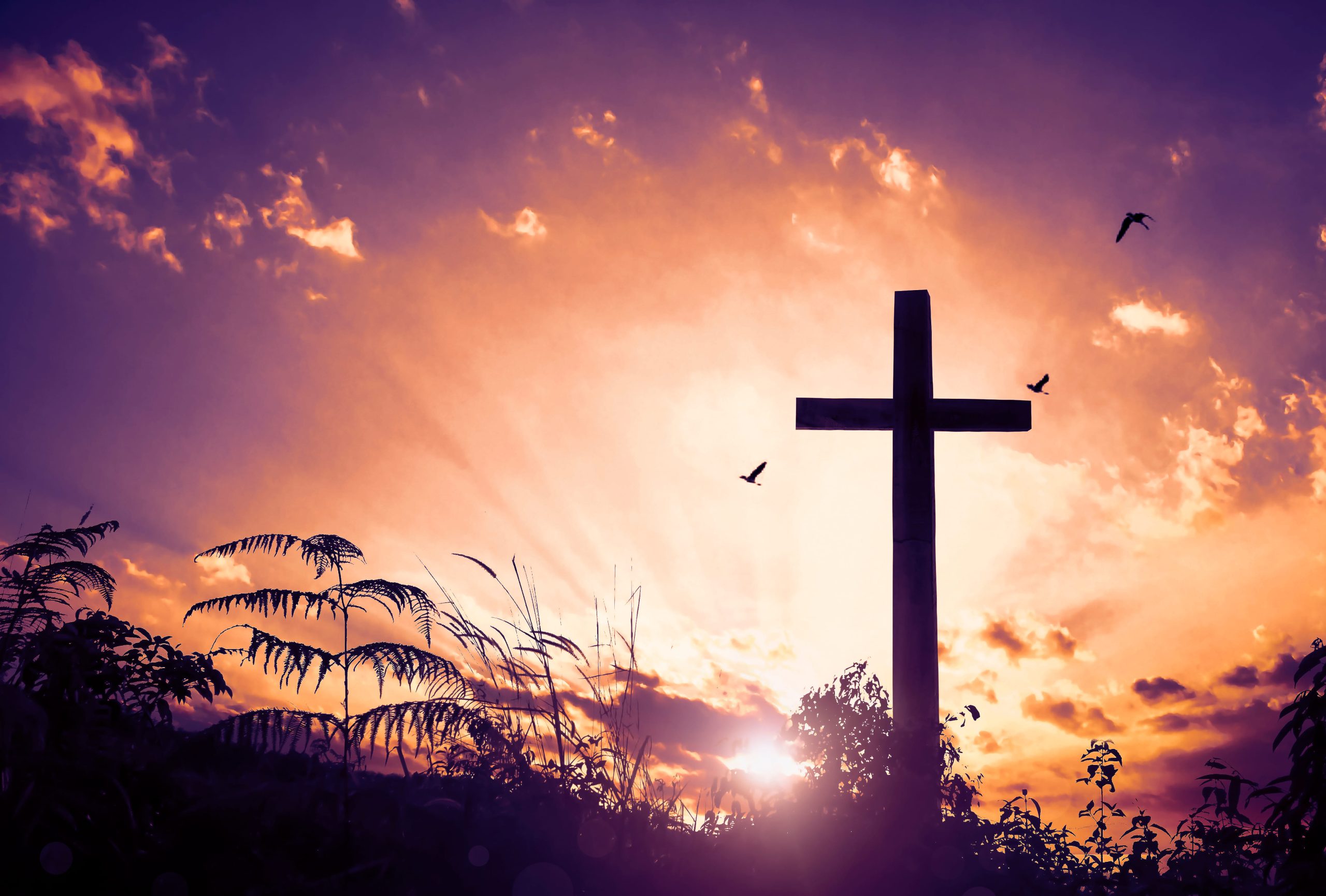 Monday of the Holy Spirit 2025